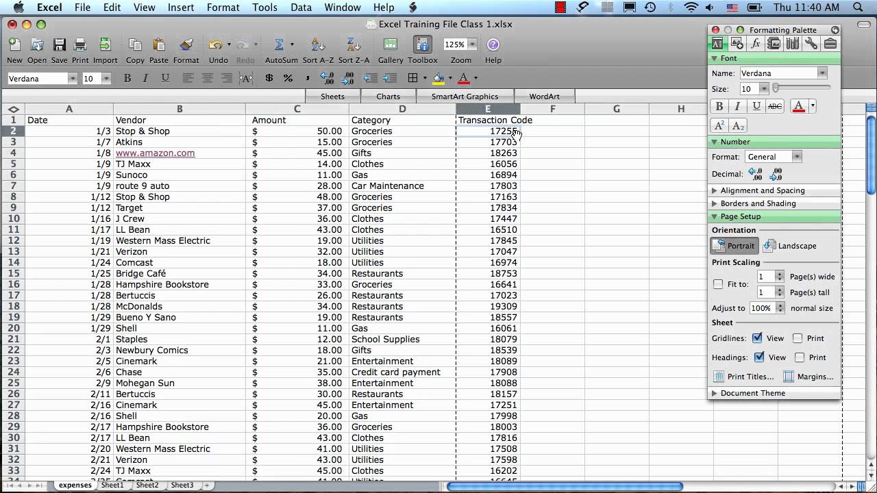 Excel 2008 for Mac Spreadsheet (2008)